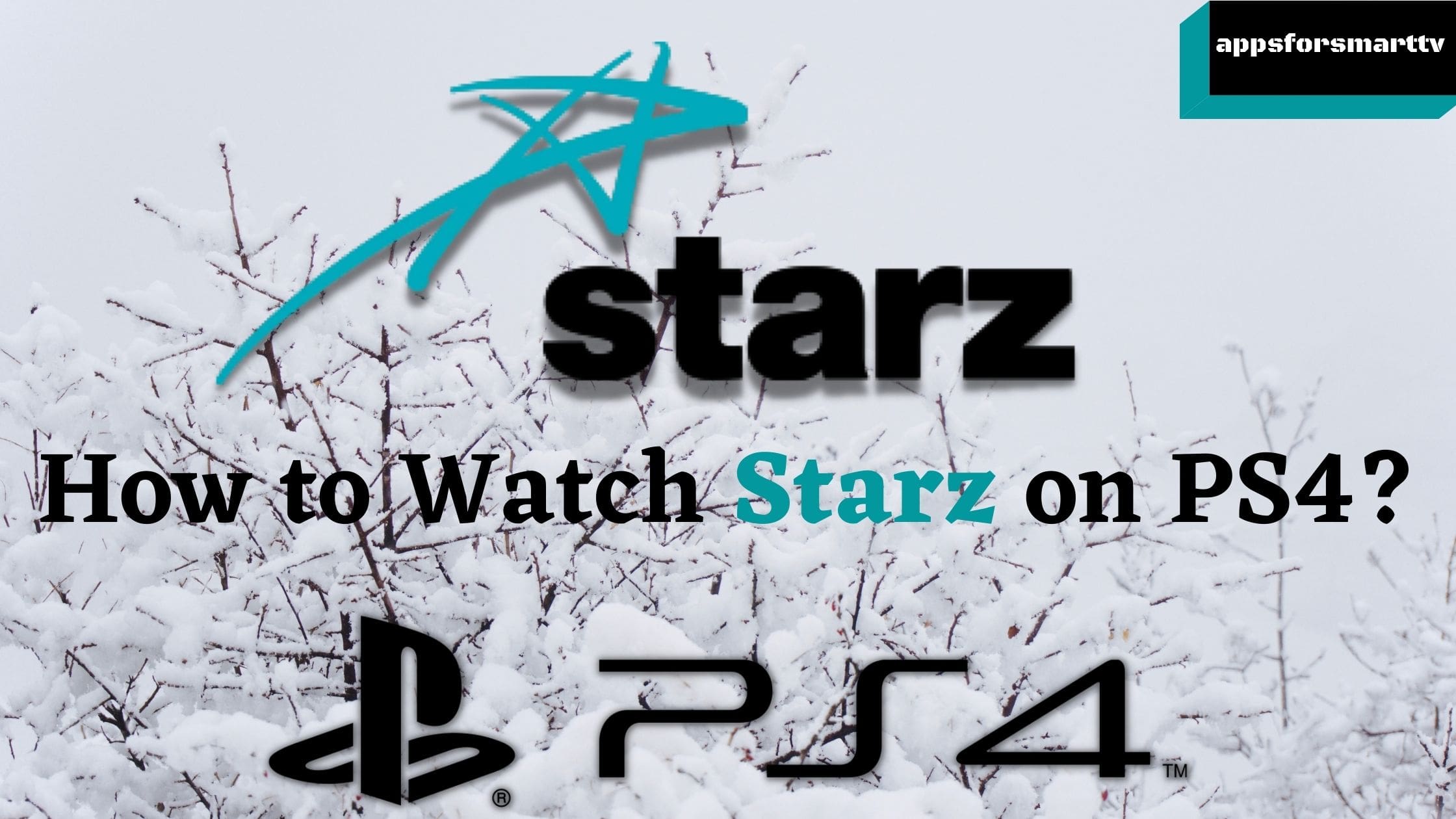 How to Install and Watch Starz on PS4