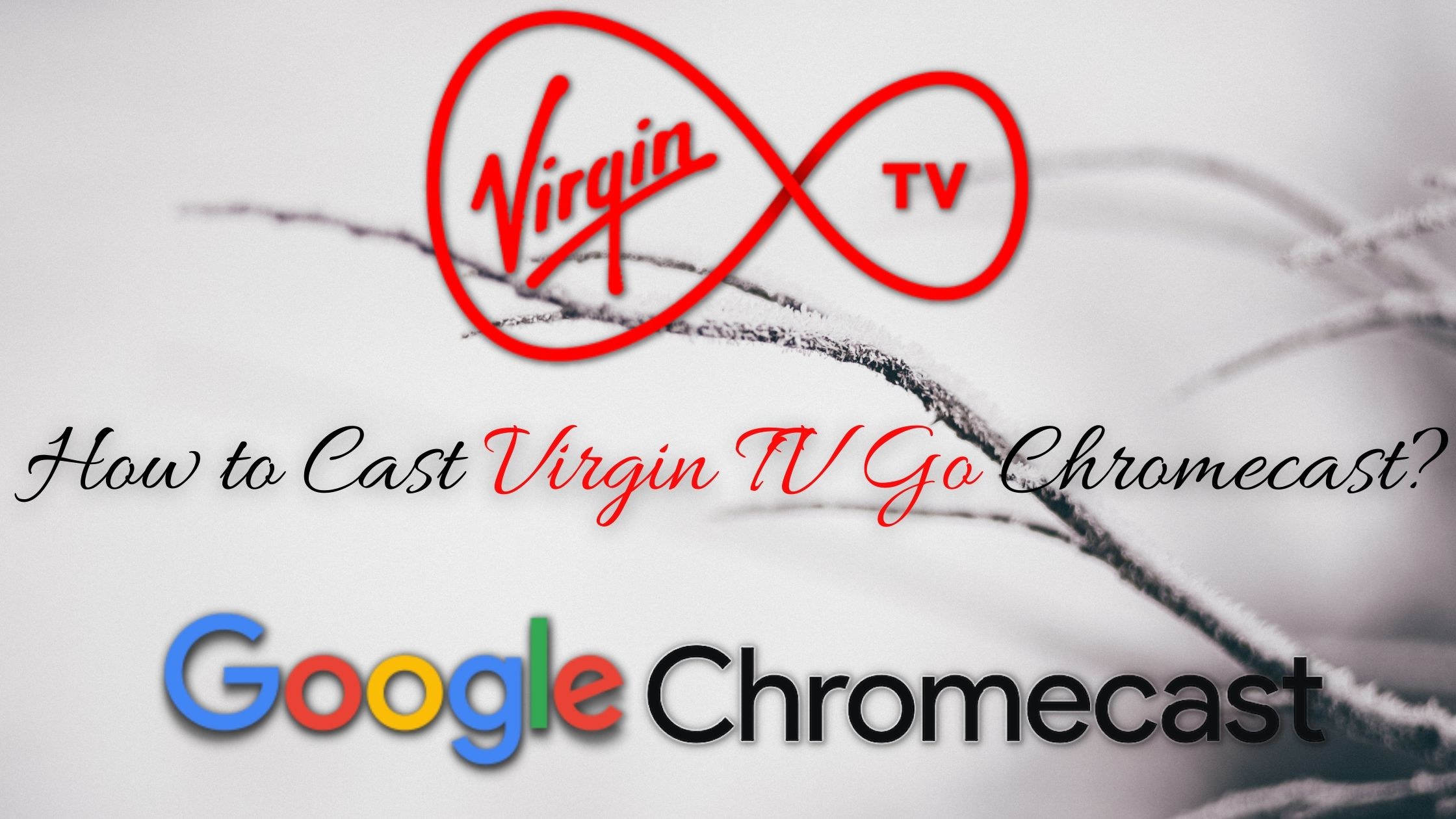 How to Cast Virgin TV Go Chromecast