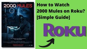 How to Watch 2000 Mules on Roku?