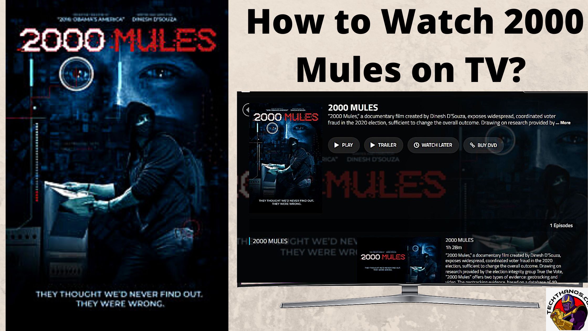 How to Watch 2000 Mules on TV 