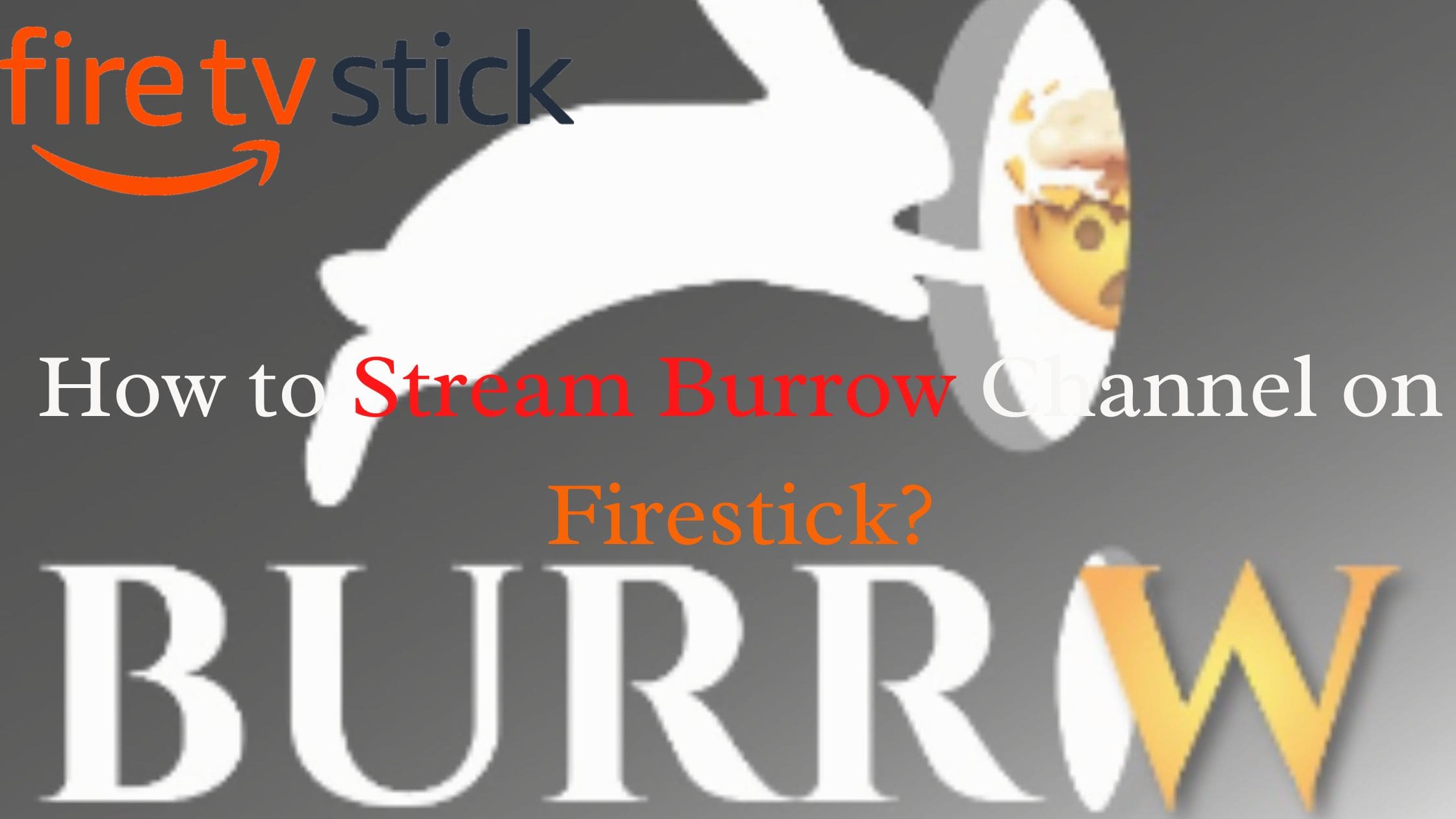 How to Stream Burrow Channel on Firestick